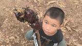 「カブトムシ300匹放し飼い！“むつみ昆虫王国”夏休みの子どもたちが夢中に」の画像1
