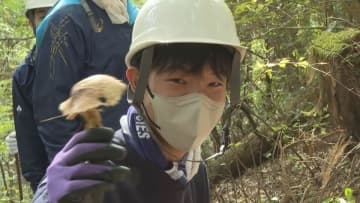 山と海の中学生が「マツタケ狩り」で交流 1キロ収穫→給食へ 山口・萩