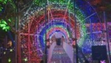 22万球がときわ公園を彩る「ＴＯＫＩＷＡファンタジア」開幕　山口・宇部