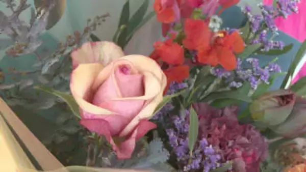 【バレンタインデー】チョコレートではなく花束を贈りませんか？市長も前向き発言「取り組み始めたい」