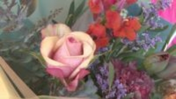 【バレンタインデー】チョコレートではなく花束を贈りませんか？市長も前向き発言「取り組み始めたい」