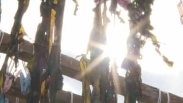 早春の萩の風物詩　ワカメの天日干し始まる シケで例年より1週間遅れの始動 磯の香り豊かな”ふるさとの味” 山口・萩