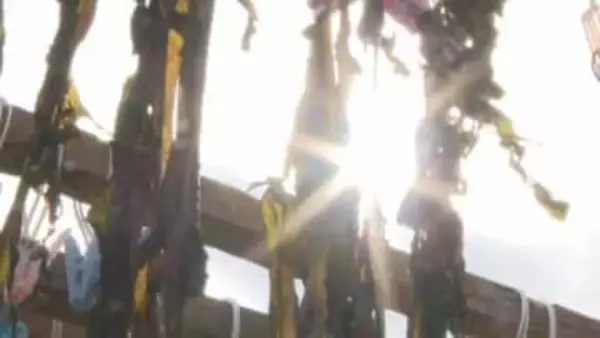 早春の萩の風物詩　ワカメの天日干し始まる シケで例年より1週間遅れの始動 磯の香り豊かな”ふるさとの味” 山口・萩