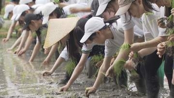 伝統の田植え「さのぼり」高校生が和太鼓の音にあわせて体験　山口・田布施