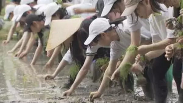 伝統の田植え「さのぼり」高校生が和太鼓の音にあわせて体験　山口・田布施
