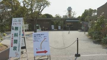 シロテテナガザル　一時飼育エリアから逃げ出す　職員がひっかかれ軽傷　生息環境展示の「ときわ動物園」　山口・宇部