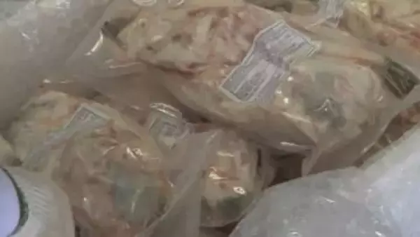 ニューヨークの料理店で提供　アメリカに向けトラフグ出荷　山口・下関