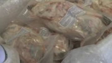 ニューヨークの料理店で提供　アメリカに向けトラフグ出荷　山口・下関