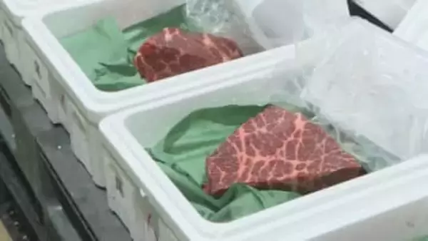 最高値は尾の身1キロ20万円「サシの入り方、身の色、きめの細やかさにひかれた」　関鯨丸が捕獲ナガスクジラ生肉　下関で競り