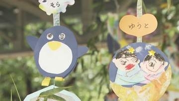 「ケーキ屋さんになりたい」　園児が短冊に願い事　七夕飾りつけ　山口・周南