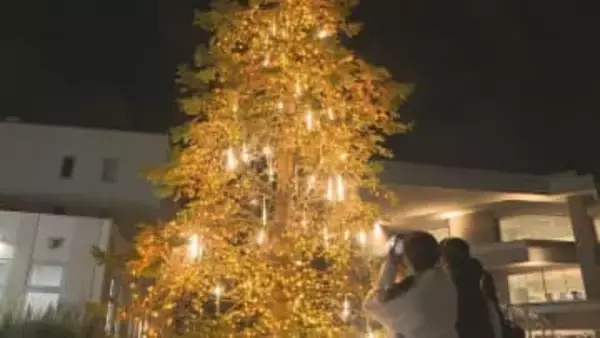 空から降ってくるようなつららを演出　梅光学院大学でクリスマスツリー点灯式　山口・下関