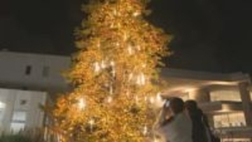 空から降ってくるようなつららを演出　梅光学院大学でクリスマスツリー点灯式　山口・下関