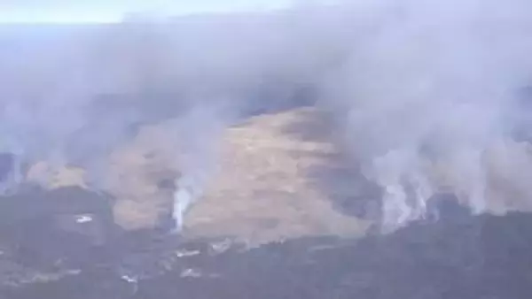 山焼き死亡事故…原因究明に向け市が第三者委員会設置へ　山口・美祢