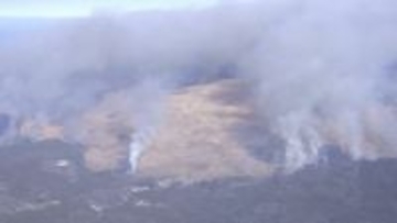 山焼き死亡事故…原因究明に向け市が第三者委員会設置へ　山口・美祢