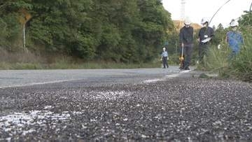 乗用車どうしが正面衝突　4人が重軽傷　国道262号　山口・萩