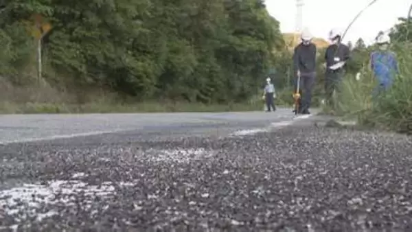 乗用車どうしが正面衝突　4人が重軽傷　国道262号　山口・萩