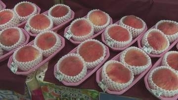 福島の震災復興を支援　アトラス萩店でモモ販売　山口