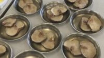 「こんなに初めて食べた」生徒考案のシイタケ料理　生産者と一緒に調理