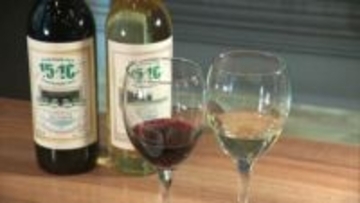 【祝・北海道新幹線10周年】函館駅で限定グルメイベント「HAKODATE Tastation」開催！道産食材を使った絶品おつまみと共に道南の美酒を飲み比べ、限定商品の販売も