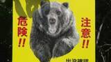 「ヒグマが畑のトウモロコシ約100本をたいらげる―付近に足跡も確認され、市が警戒呼びかけ―箱わなの設置も検討中＜北海道函館市＞」の画像1