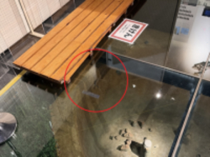 【十勝地方南部でマグニチュード6.2の地震】震度5強の浦幌町で博物館被害、函館市では90代女性ケガ、JR特急8本含む37本運休