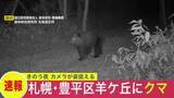 「【ヒグマ速報】札幌市豊平区羊ケ丘にクマ出没…山林を歩く姿をカメラが撮影…周辺ではほかにも出没情報」の画像1