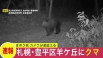 【ヒグマ速報】札幌市豊平区羊ケ丘にクマ出没…山林を歩く姿をカメラが撮影…周辺ではほかにも出没情報