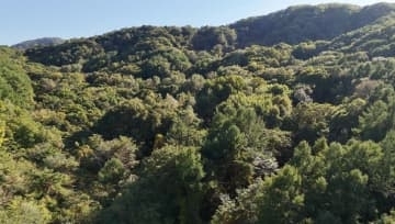 クマの駆除に反対『日本熊森協会』（会員約2万2000人）が北海道札幌市で18ヘクタールの森林を取得―ヒグマの出没が相次ぎ人身事故や緊急銃猟が行われた西区エリア付近―野生動物との共存目指し問題提起へ