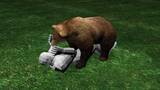 「【九死に一生】「顔をかまれると思った」体長1.5mのクマに襲われ転倒、顔を狙われた男性がとっさの抵抗で無事生還…過去には死亡事例も存在、山に入る際は万全な準備を〈北海道士別市〉」の画像1