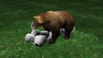 【九死に一生】「顔をかまれると思った」体長1.5mのクマに襲われ転倒、顔を狙われた男性がとっさの抵抗で無事生還…過去には死亡事例も存在、山に入る際は万全な準備を〈北海道士別市〉
