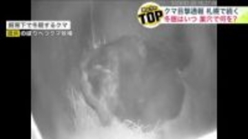 【貴重映像】冬眠中の母グマの胸元で鳴き声を上げる子グマ…でもいまだに札幌市内では目撃通報相次ぐ…全面閉鎖から再開したばかりの円山公園や小学校の近く 専門家は出没続く可能性を指摘