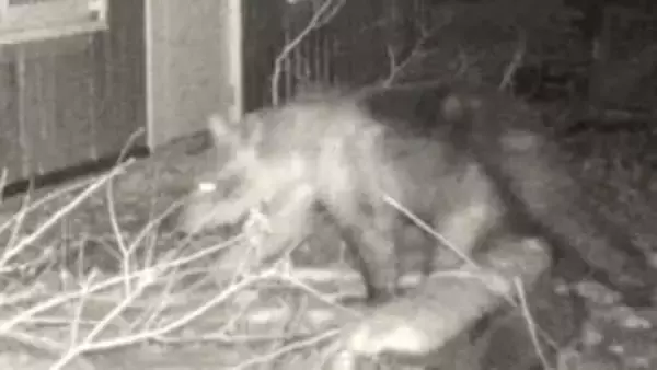 【緊迫の73時間】円山動物園にクマが侵入→臨時休園→駆除までの73時間に何があったのか？「信じられないような気持ちだった」対応を指揮したキーパーソンが初めて語る裏側〈札幌市〉