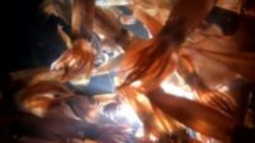 異例の"豊漁"スルメイカ_2026年度は最大6.8トン案も_漁獲可能量を大幅増_水産庁が3案を提示_2月にも決定の見通し〈北海道〉