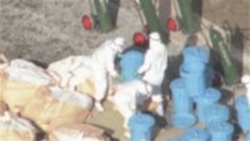 【今季早くも”鳥インフル”感染を確認】安平町の養鶏場で約19万羽を殺処分_雪解けが平年より1カ月半ほど早く”渡り鳥の飛来”にも影響か…価格や入荷についてスーパーは「影響が大きいと思う」