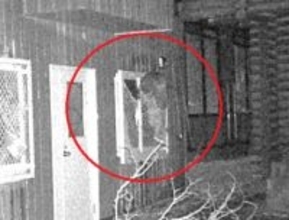 【ヒグマの写真あり】夜の動物園を徘徊『窓の金網にしがみつくクマの姿』捉える―シマフクロウのエサとなるヒヨコ・ホッケを狙ったか…札幌市円山動物園で続くクマ侵入