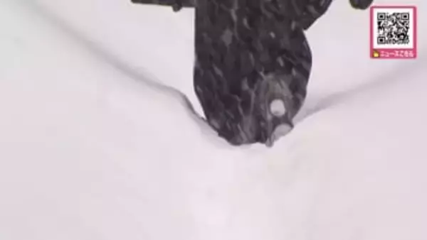 歩道がない！札幌で"記録的"大雪＿1月の記録更新する一晩で38センチ！高速通行止め、JRは運休、除雪は追い付かず…交通がマヒ＿交通障害に警戒を（北海道 札幌市）