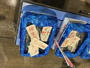 【速報】札幌でサンマ1キロ2万5000円で落札「頑張って買いました！“かたち”は良いと思う」サンマ棒受け網漁船の主力となる大型船…根室市の花咲港での初水揚げ受け札幌市中央卸売市場で競り〈北海道札幌市〉