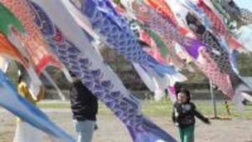 “日本一の清流”にこいのぼり550匹！歴舟川の川幅いっぱいにスイスイ泳ぐ…『触れるこいのぼり』に子どもたちも大はしゃぎ～きょうはこどもの日〈北海道大樹町〉