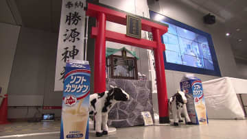 【がんばれ受験生！無料配布も】チカホに登場した「勝源神社」！絵馬を書いた人には数量限定で…北海道のソウルドリンクとも言えるカツゲンを配布〈北海道札幌市〉