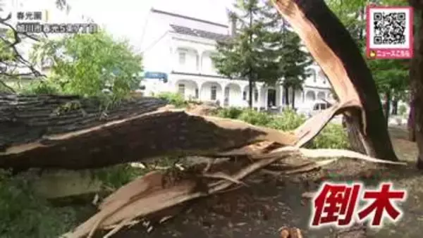 【道内で記録的大雨】陸別町で“1時間約90ミリ”旭川では落雷で倒木…JR特急11本含む51本が運休するなど交通にも影響―土砂災害や低い土地の浸水などに厳重な警戒