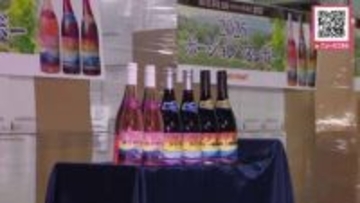 【ことしも秋の楽しみが到着】『ボジョレ・ヌーボー』が新千歳空港に航空機で＿セコマグループは約6万8000本を販売予定「気温が高く推移し熟した果実味が味わえる」11月20日午前0時解禁へ！〈北海道〉