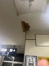 【最新】JR新札幌駅で重さ約1.4キロの「岩綿吸音板」が高さ3メートルから落下…天井裏の「雨どい」継ぎ目が凍結と融解繰り返し隙間が発生_雨水が流れ込んで板の重さが増して落下したか〈北海道〉