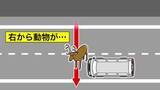 「【道内でも部活送迎で横転事故…】顧問がレンタカー使用「認識がなかった」道東でルール違反発覚―北海道教育委員会は道立学校対象“実態調査”へ」の画像1