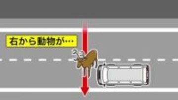 【道内でも部活送迎で横転事故…】顧問がレンタカー使用「認識がなかった」道東でルール違反発覚―北海道教育委員会は道立学校対象“実態調査”へ