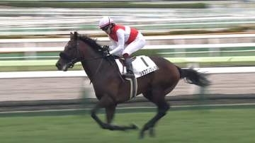 【函館競馬】2.1億円ショウナンガレオンがレコード勝ちの鮮烈デビュー　父はBCクラシックなどG1・4勝のフライトライン