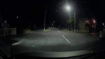 【ヒグマ速報映像】「うわ！」車内に響く悲鳴…そのわけは深夜の住宅街に現れた“小走りのクマ”川から橋をよじ登ってきたか…警戒するも一夜明け目撃なし〈北海道新ひだか町〉