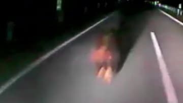 【ヒグマの映像あり】ヒグマ×バス「ドン！」ドライブレコーダーがとらえた激突の瞬間…深夜の自動車専用道路で冬眠前のクマが乗客乗員15人が乗った都市間バスと衝突＿熊は森へ逃走〈北海道豊富町〉