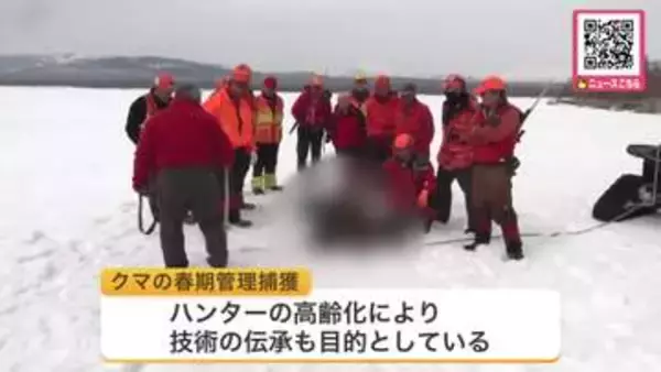 【標津町】冬眠明けのヒグマを捕獲“春期管理捕獲”で市街地への出没未然に防ぐ「若い人にも経験してもらい体制整備を図れれば」技術の伝承も〈北海道〉
