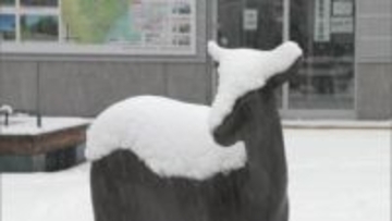 【十勝地方でドカ雪の恐れ】4日午前11時までの24時間降雪量は中札内村で31センチ！5日明け方にかけて今季一番の大雪になる可能性も…JRは道東方面中心に50本運休〈北海道〉