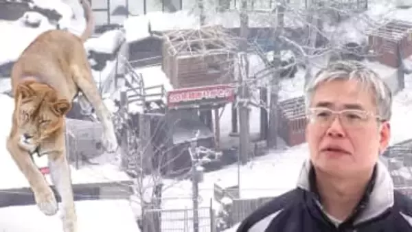 【どうなる動物たち】違法建築問題で閉園した「ノースサファリサッポロ」に対し、札幌市が『除却命令』を出す方向で調整―未だ38棟が残存「運営会社の弁明を聞く機会設ける」